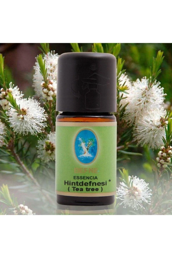 NU-KA DEFNE ESSENCIA Nuka Defne Hint Defnesi-tea Tree (ORGANİK) Uçucu Yağ 5 ml ürün görseli 1