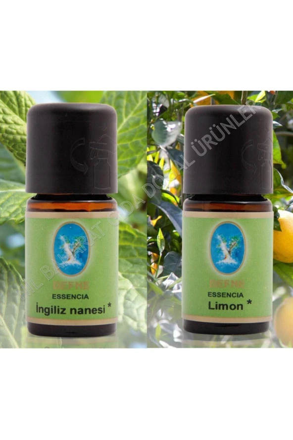 DEFNE 2 Li Set Nuka Organik Ingiliz Nanesi - Organik Limon Yağı 10 ml ürün görseli 1