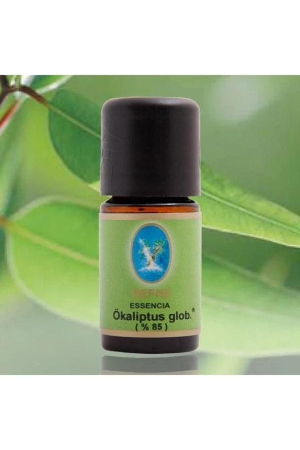 NUKA DEFNE ESENCİA Ökaliptus Globus %85 %100 Saf Uçucu Yağ 10ml ürün görseli 1