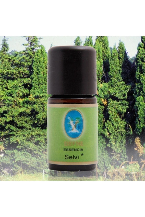 NUKA DEFNE ESENCİA Nuka Defne Essencia Organik Servi Yağı Selvi 5 ml Uçucu Aromaterapi Cilt Ve Bakım Yağı ürün görseli 1