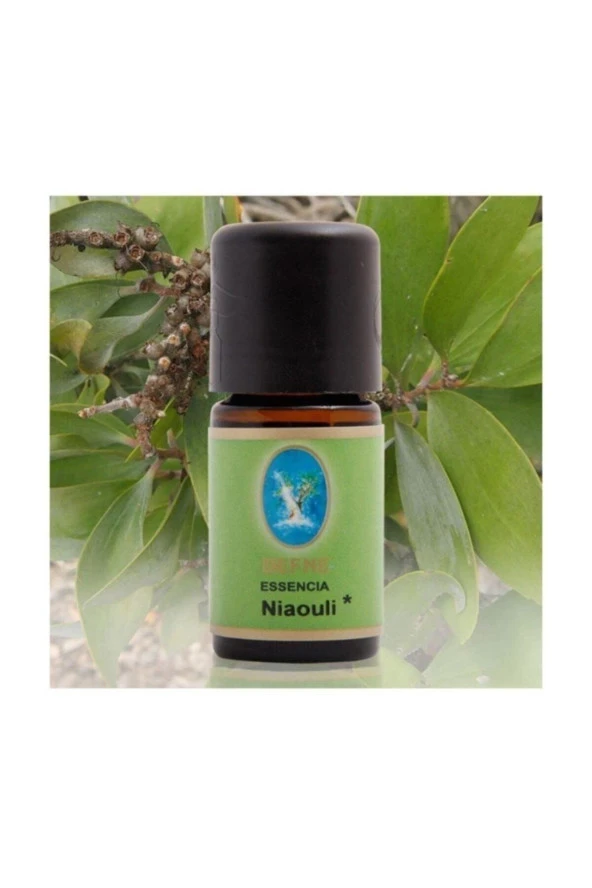 NUKA DEFNE ESENCİA Nuka Organik Niaouli Yağı 10 Ml. ürün görseli 1