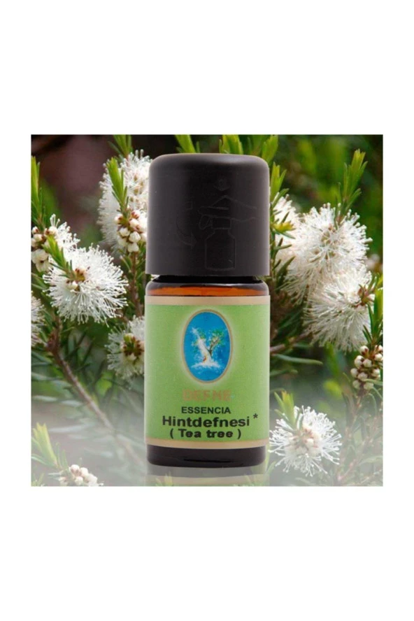 NUKA DEFNE ESENCİA Nuka Hint Defnesi Yağı (organik) 30ml ürün görseli 1