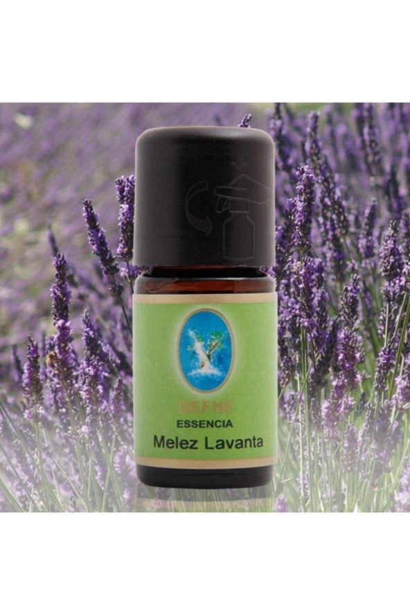 NUKA DEFNE ESENCİA Nuka Defne Essencia Geleneksel Melez Lavanta 10 Ml Uçucu Yağ Aromaterapi Cilt Ve Bakım Yağı ürün görseli 1
