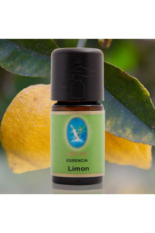 NUKA 2 Li Set Organik Ingiliz Nanesi - Organik Limon Yağı 10 ml ürün görseli 1