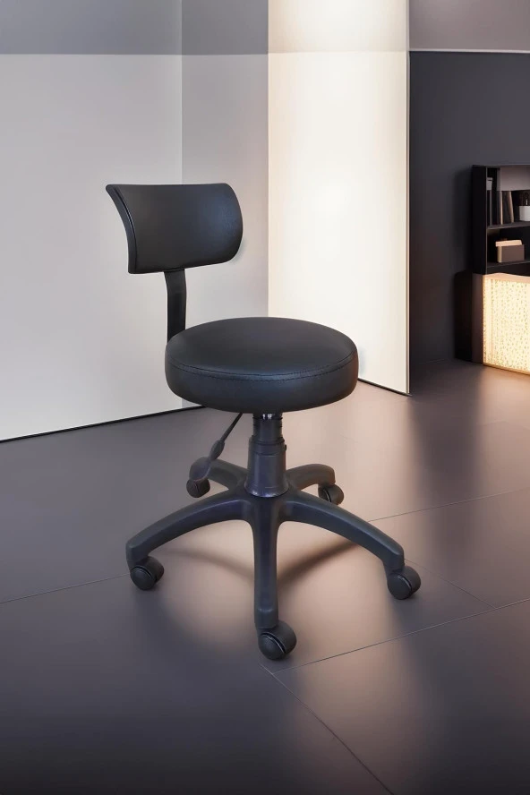 Depolife Ofis Laboratuvar Öğrenci Büro Taburesi Tekerlekli Sandalye Sırt Dayamalı Kasiyer Çalışma Koltuğu ürün görseli 1
