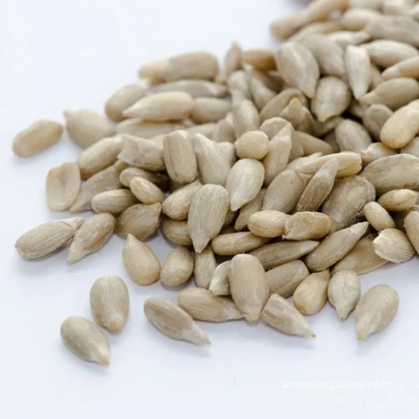 Ayçekirdeği İçi Çiğ 500 gr - Resim 3
