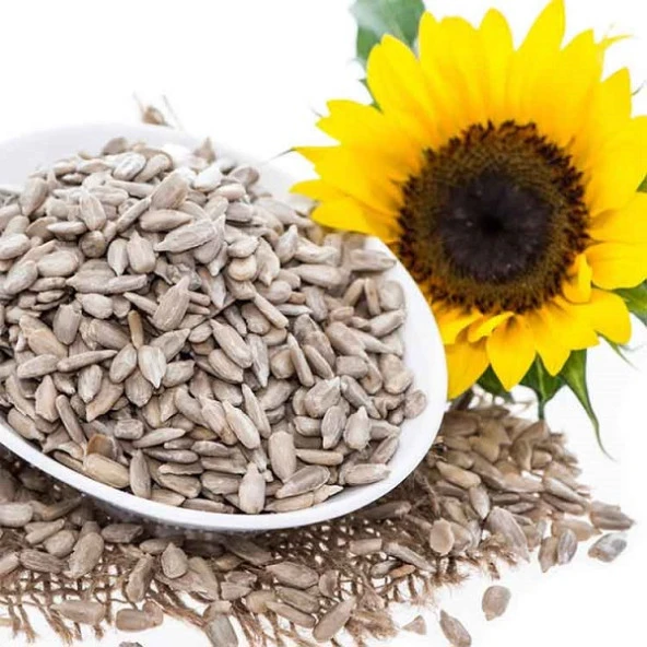 Ayçekirdeği İçi Çiğ 500 gr - Resim 5