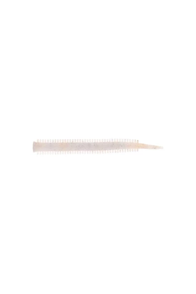 Pandora Perfect Soft Baits Sandworm 7 cm ürün görseli 1