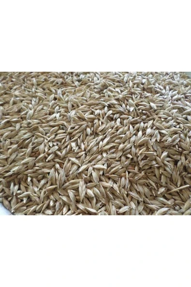 KASTAMONU SİYEZ BUĞDAYI KABUKLU 25KG - Resim 2