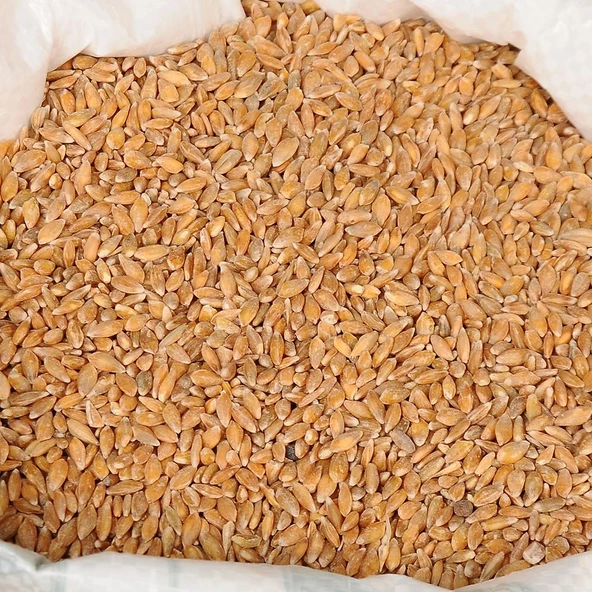 KASTAMONU SİYEZ BUĞDAYI TANELİ 5KG - Resim 3