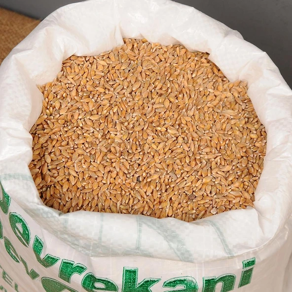 KASTAMONU SİYEZ BUĞDAYI TANELİ 5KG ürün görseli 1