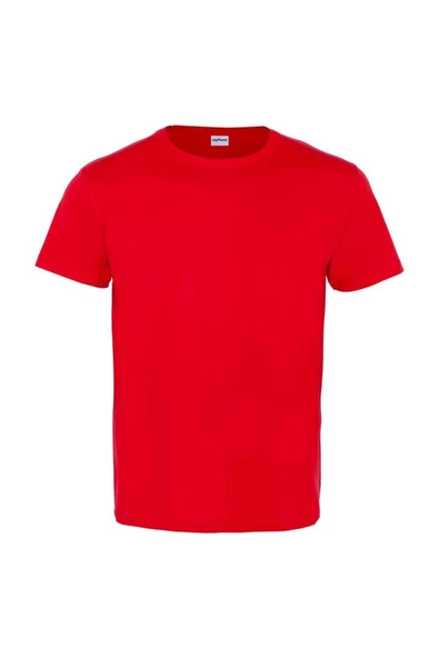 FESTİVAL BİSİKLET YAKA T-SHIRT - Resim 2