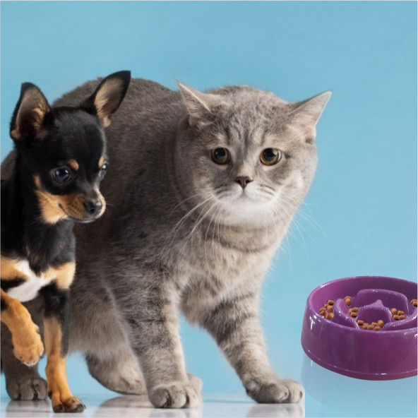 Az Yavaş Yeme Yediren Küçük 175 cc Obez Kedi Köpek Evcil Hayvan Mama Yem Kabı Kasesi Çanağı Kutusu ürün görseli 1