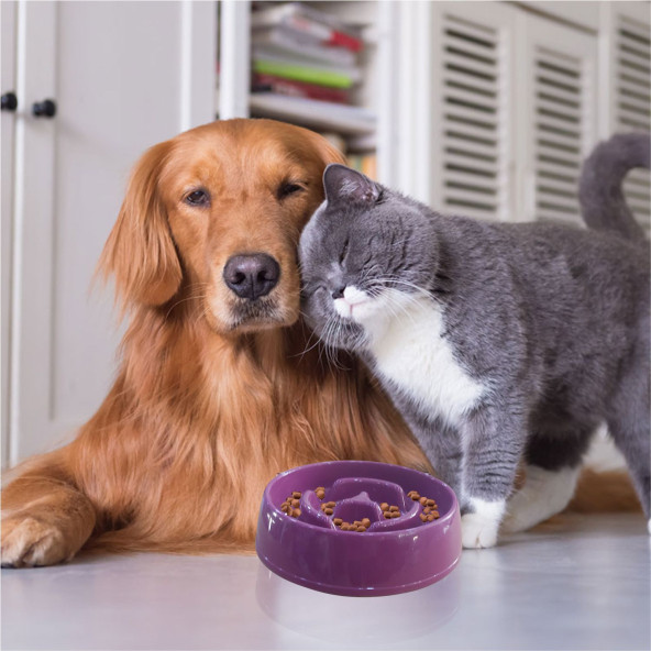 Büyük Obezite Önleyici 375cc Kedi Köpek Evcl Hayvn Az Yavaş Yeme Yediren Mama Yem Kabı Kasesi Tabağı ürün görseli 1