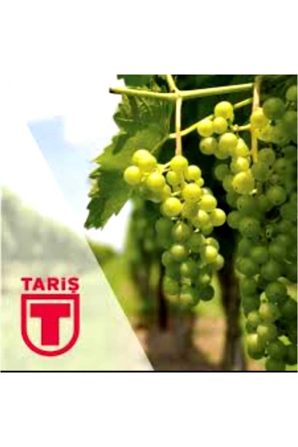 Tariş Üzüm Sirkesi 9x1000 Ml. - Resim 2