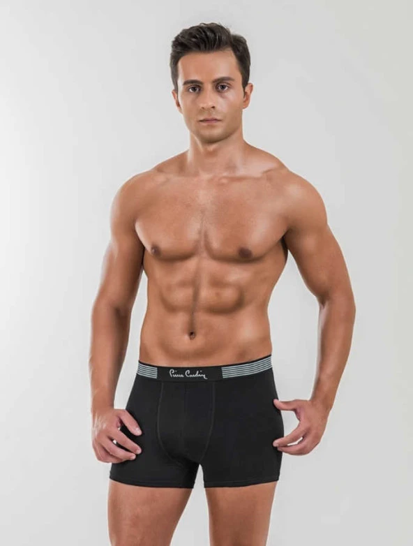 Pierre Cardin Modal Erkek Boxer 330 ürün görseli 1