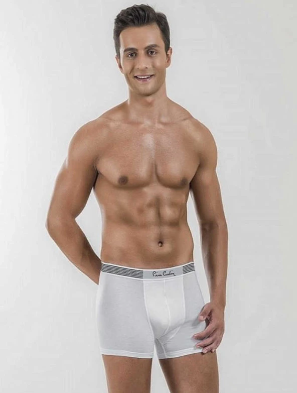 Pierre Cardin Modal Erkek Boxer 330 - Resim 2