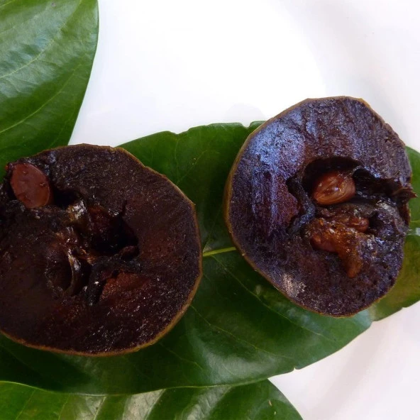Black Sapote (Tüplü Çikolata Meyvesi) Fidanı ürün görseli 1