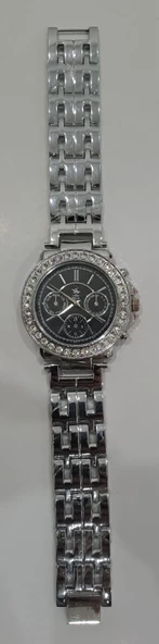 POLO METAL KORDON BAYAN KOL SAATİ ( ÇAP : 40 mm ) ürün görseli 1