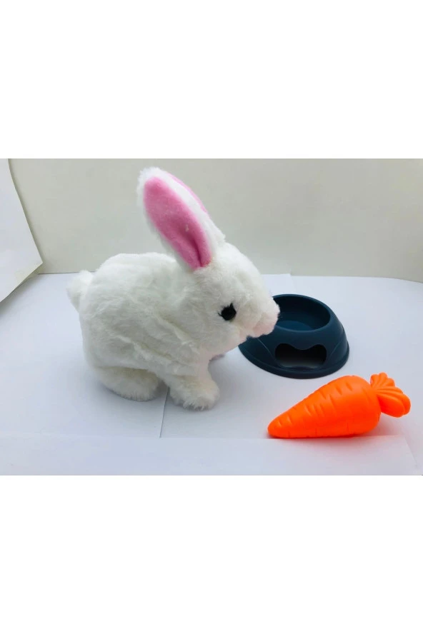 Evcil Hayvan Tavşan Seti Pet Park - Resim 3