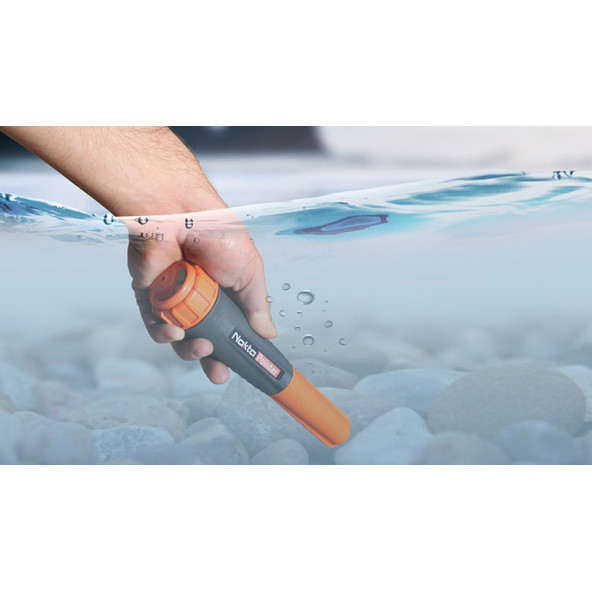 Nokta Pointer - Resim 3