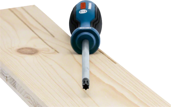 Bosch Profesyonel Torx Tornavida TX40x125 - Resim 2