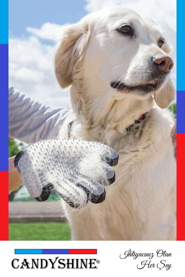Deluxe Kedi Köpek Tüy Toplayıcı Masaj Yapıcı Tarak Eldiven Evcil Hayvan Tüy Toplama Tarak Eldiven ürün görseli 1