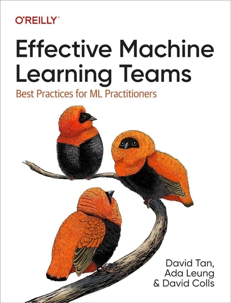 Effective Machine Learning Teams: Best Practices for ML Practitioners Tan Leung ürün görseli 1