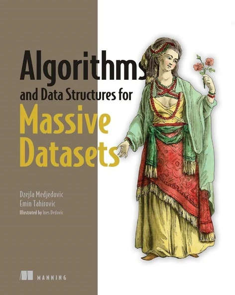 Algorithms and Data Structures for Massive Datasets Medjedovic Tahirovic ürün görseli 1