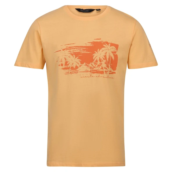 Regatta Cline VII Erkek T-Shirt-TURUNCU ürün görseli 1