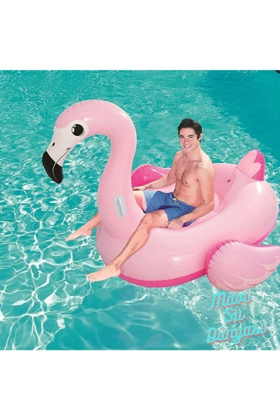 Flamingo Binici 191 Cm x 178 Cm - Resim 2