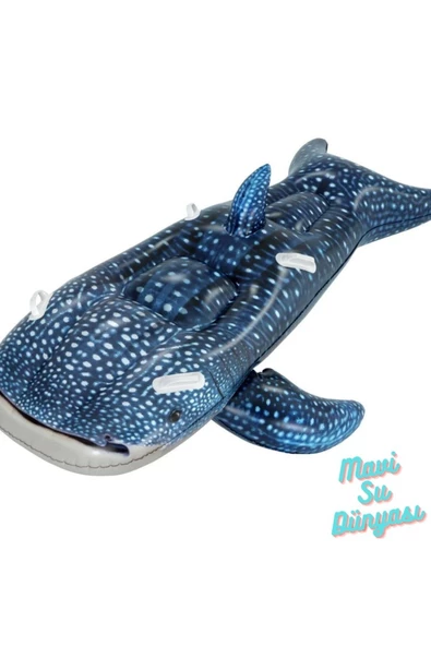 Balina Mavi Binici 193 Cm x 122 Cm - Resim 4