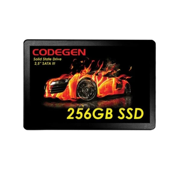 CODEGEN 256GB CDG-256GB-SSD25 560- 500MB/s SSD SATA-3 Disk ürün görseli 1