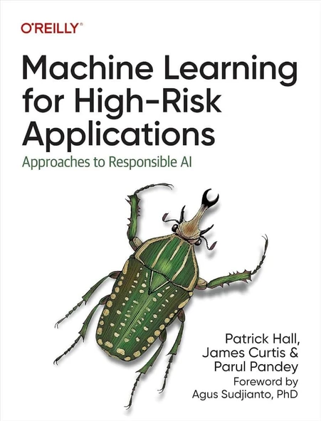 Machine Learning for High-Risk Applications: Approaches to Responsible AI Hall Curtis ürün görseli 1