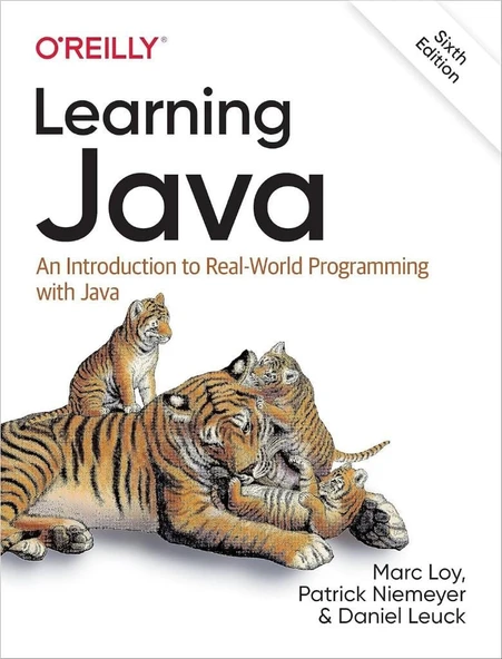 Learning Java: An Introduction to Real-World Programming with Java 6th Edition Loy Niemeyer ürün görseli 1