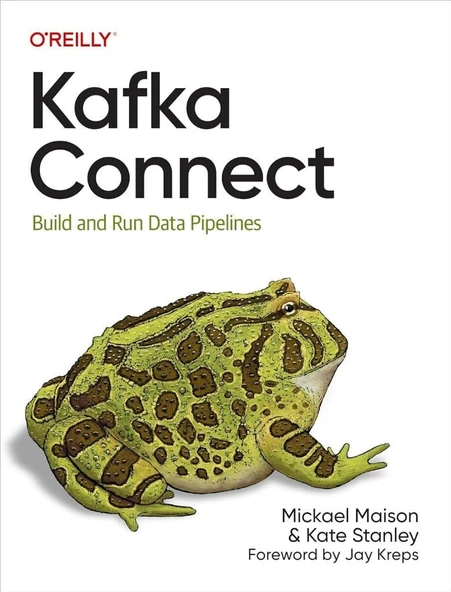 Kafka Connect: Build and Run Data Pipelines Maison Stanley ürün görseli 1