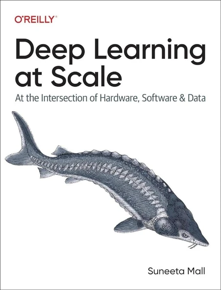 Deep Learning at Scale: At the Intersection of Hardware, Software, and Data Suneeta Mall ürün görseli 1