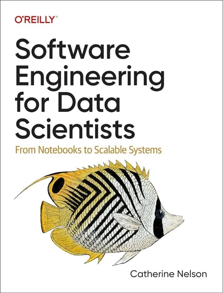 Software Engineering for Data Scientists: From Notebooks to Scalable Systems Catherine Nelson ürün görseli 1