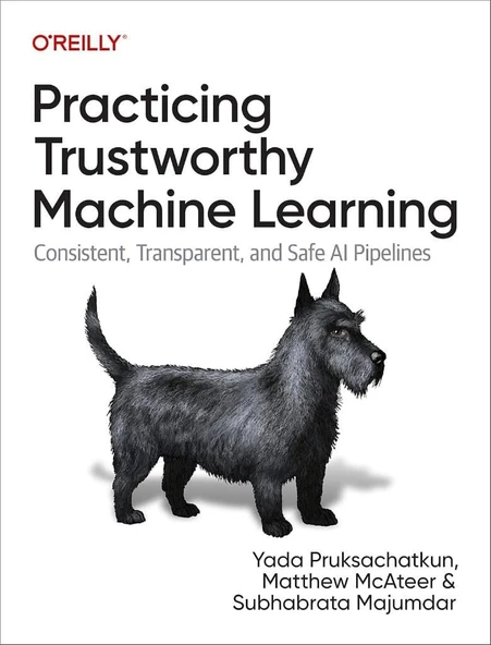 Practicing Trustworthy Machine Learning: Consistent, Transparent, and Fair AI Pipelines Pruksachatkun Mcateer ürün görseli 1