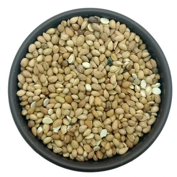 Mahlep Tane 1kg - Resim 2