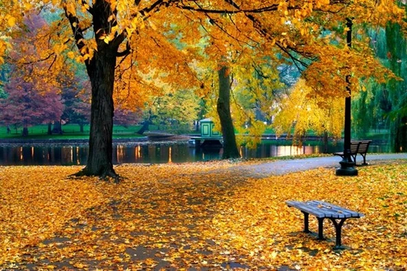 Sonbaharda Park - Kanvas Tablo ürün görseli 1