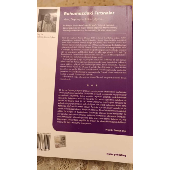 Ruhumuzdaki Fırtınalar Mani, Depresyon, Öfke, Çılgınlık... ürün görseli 1