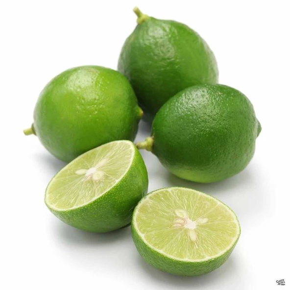 3 Yaş Aşılı Meksika Lime Limonu, Torbada - Resim 2