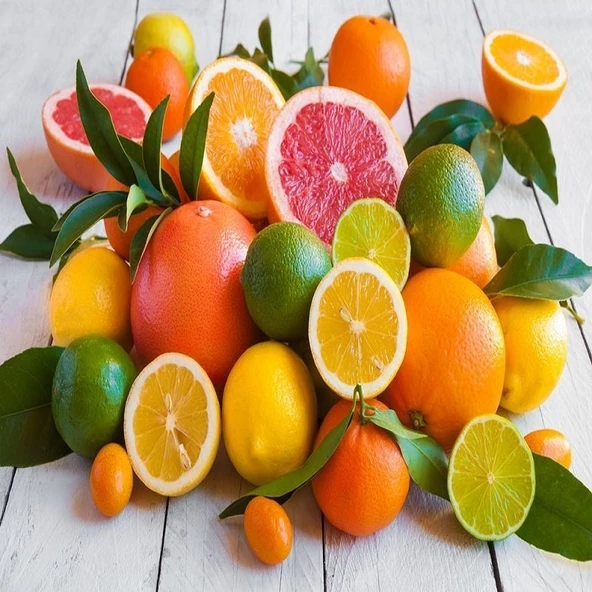 Aşılı Kamkat, Mandalina ve Yediveren Limonu Pakedi, Torbada ürün görseli 1