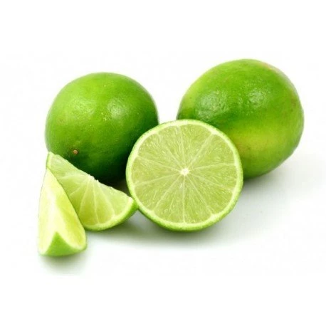 5 yaş Aşılı Lima Verde Tatlı Lime Limon Fidanı, Torbada ürün görseli 1