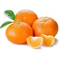 3 Yaş Aşılı Mandalina Fidanı, Torbada ürün görseli 1