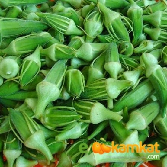 Sultani Çiçek Bamya Tohumu Paket 10 gr Paket ürün görseli 1