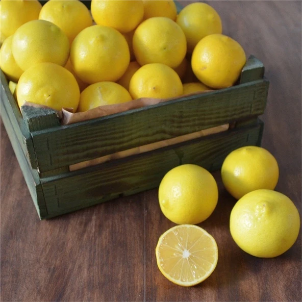 3 Yaş Aşılı Tatlı Limon Fidanı, Torbada ürün görseli 1