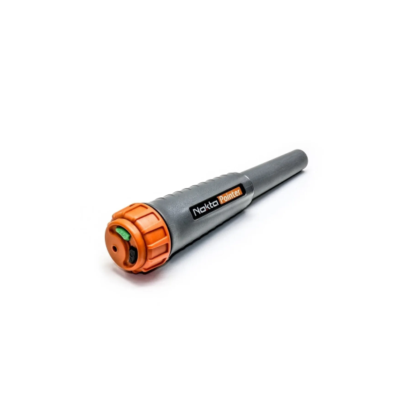 Nokta Pointer - Resim 3