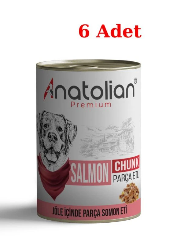 Anatolian Premium Adult Salmon Somonlu Parça Etli Yetişkin Köpek Konservesi 400 gr x 6 Adet ürün görseli 1